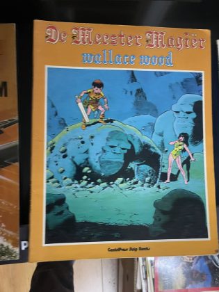 Cover van De meester magiër
