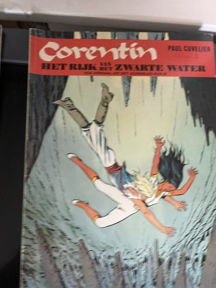 Cover van Het rijk van het zwarte water