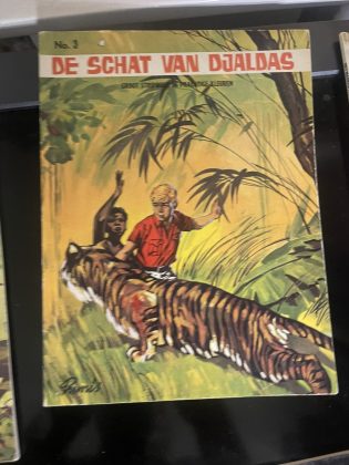 Cover van De schat van Djaldas
