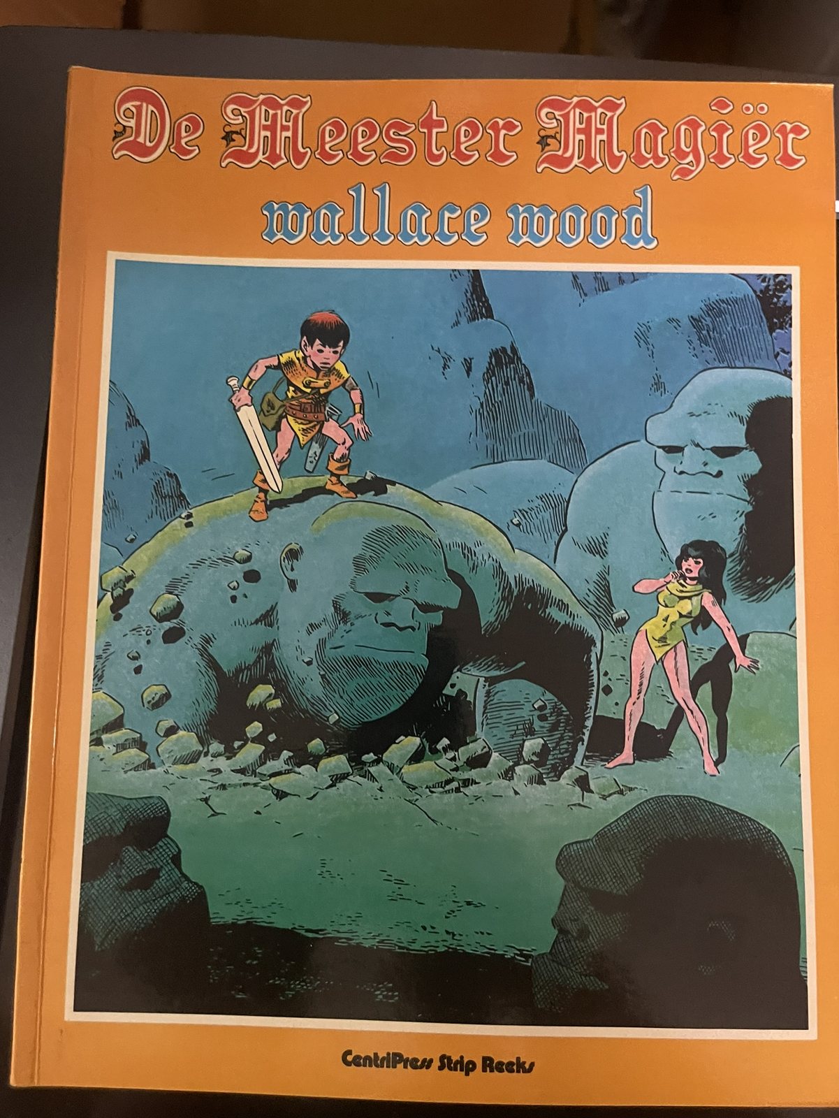 Cover van De meester magiër