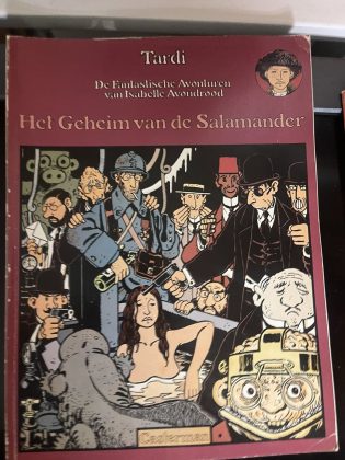 Cover van Het geheim van de Salamander