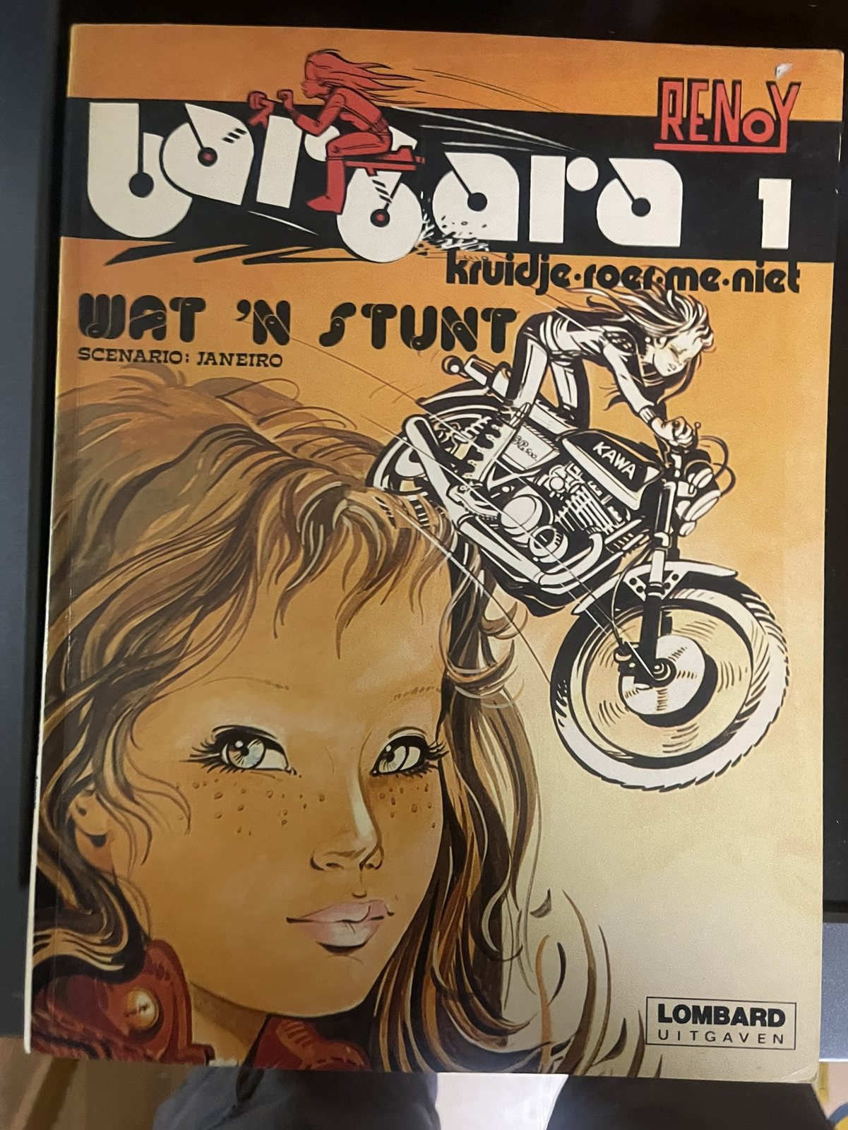 Cover van Wat 'n stunt