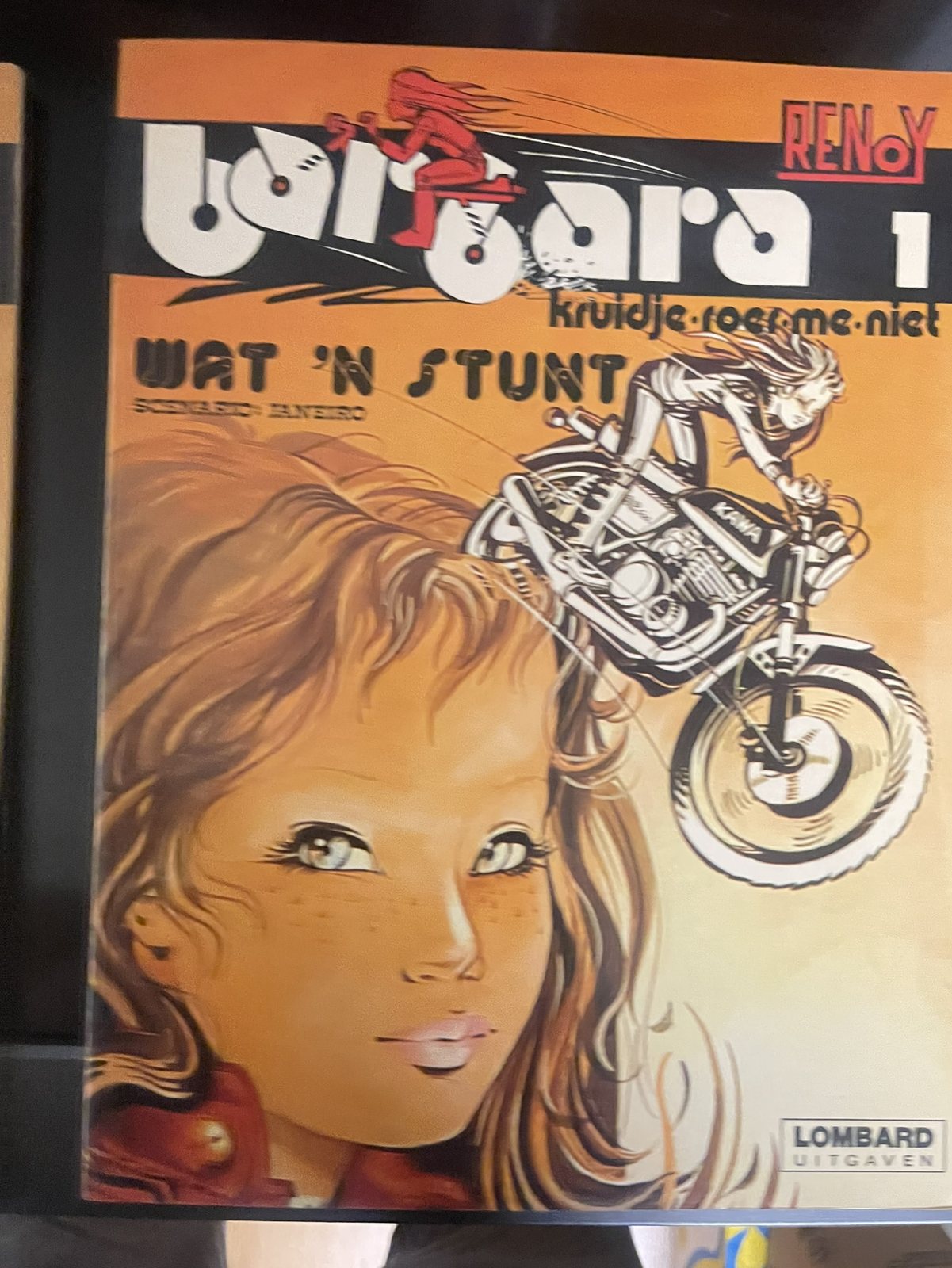 Cover van Wat 'n stunt
