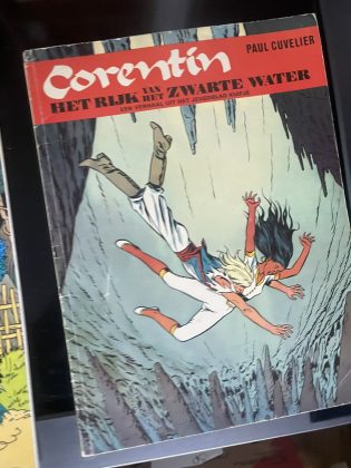 Cover van Het rijk van het zwarte water