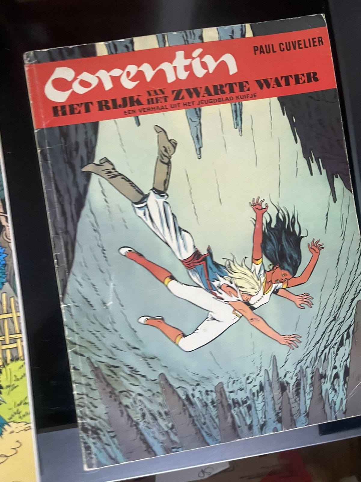 Cover van Het rijk van het zwarte water