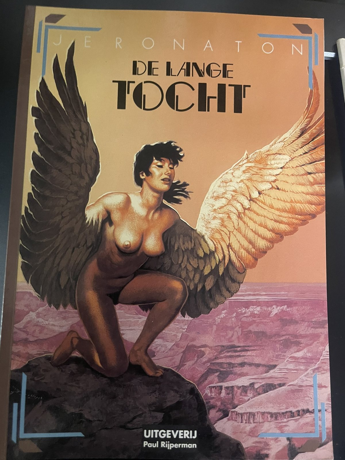 Cover van De lange tocht
