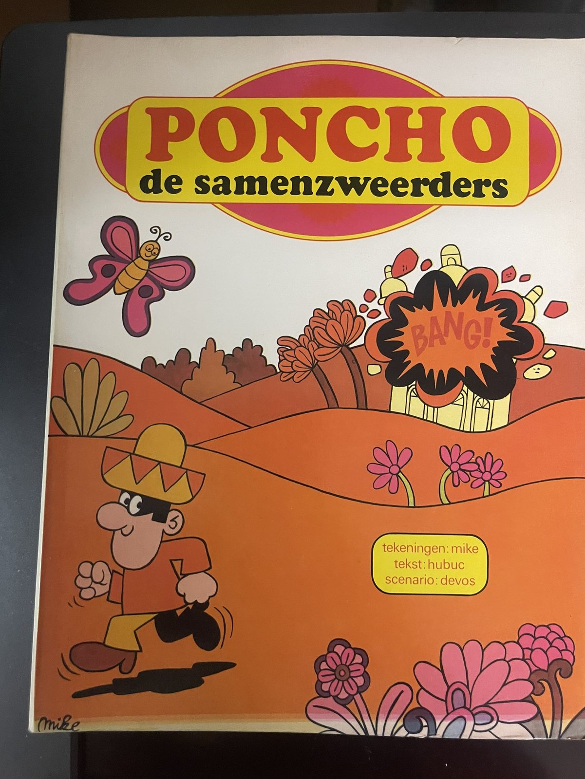 Cover van De samenzweerders