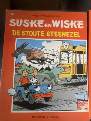 Cover van De stoute steenezel