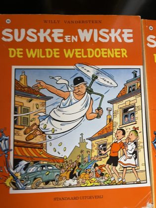 Cover van De wilde weldoener