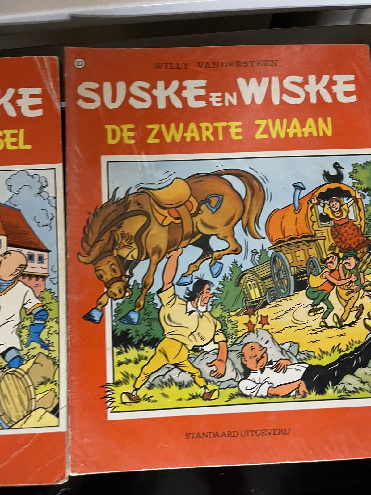 Cover van De zwarte zwaan