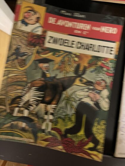 Cover van Zwoele Charlotte
