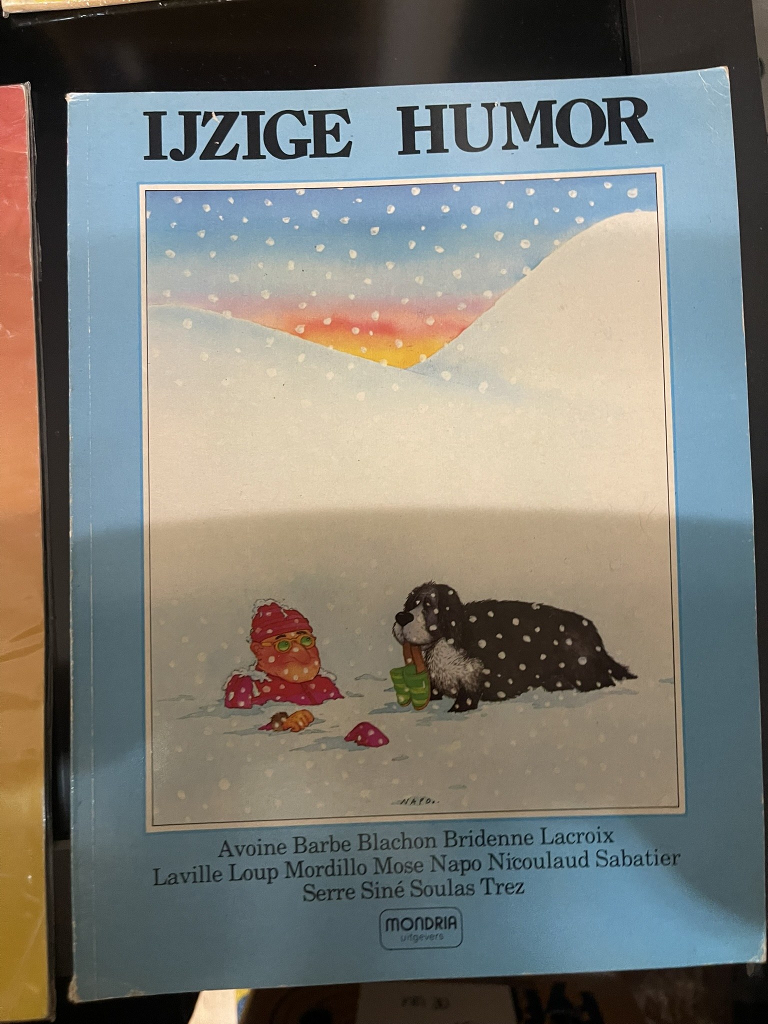 Cover van IJzige humor