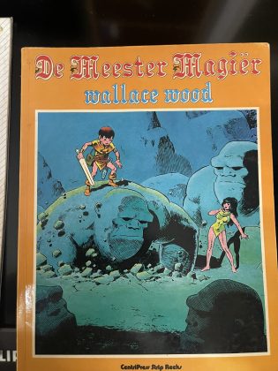 Cover van De meester magiër