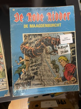 Cover van De maagdenburcht