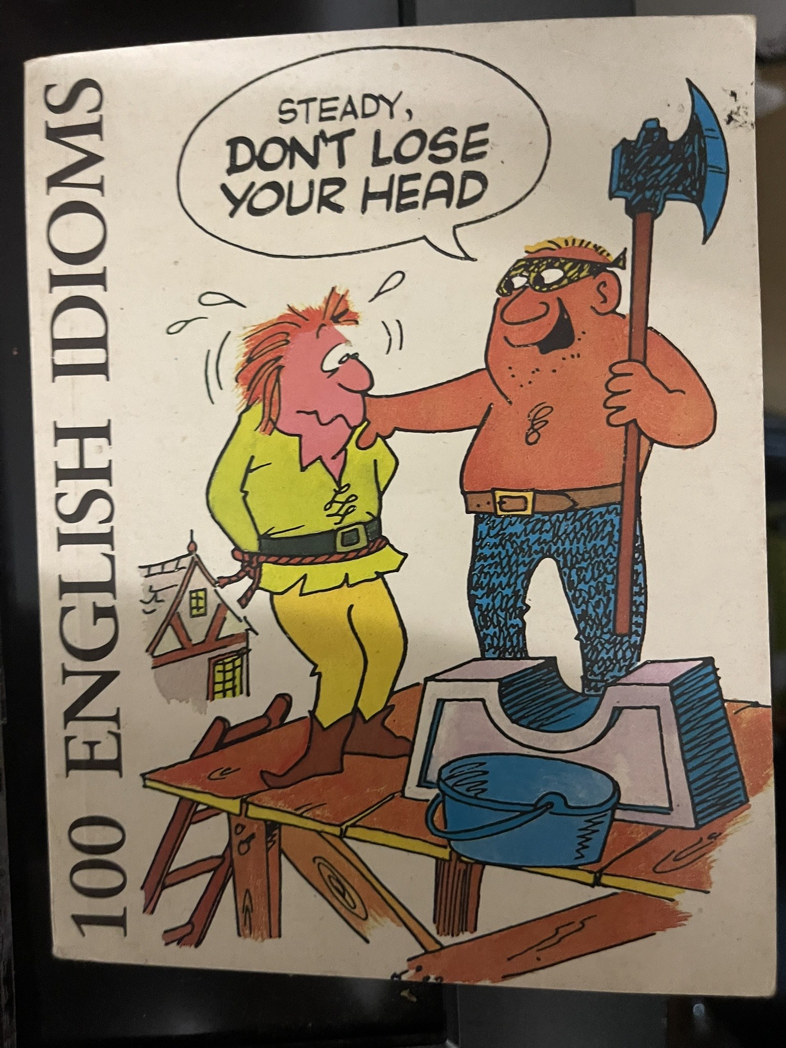 Cover van 100 english idioms