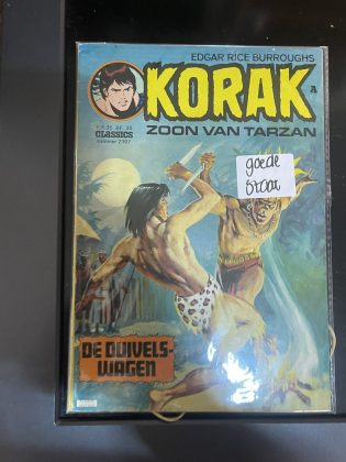 Cover van De leeuweman