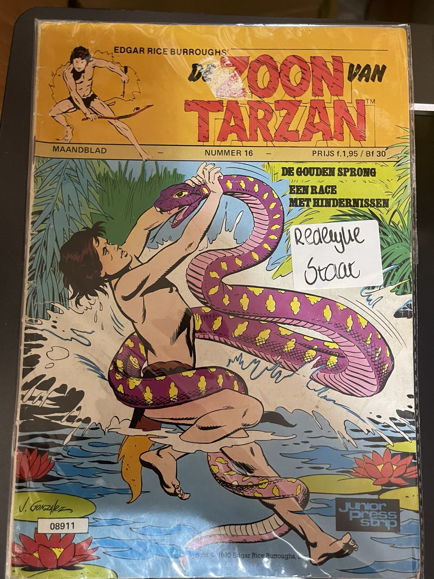 Cover van Bizarre kunst + Heksen magie