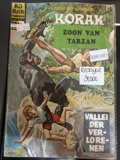 Cover van Vallei der verlorenen