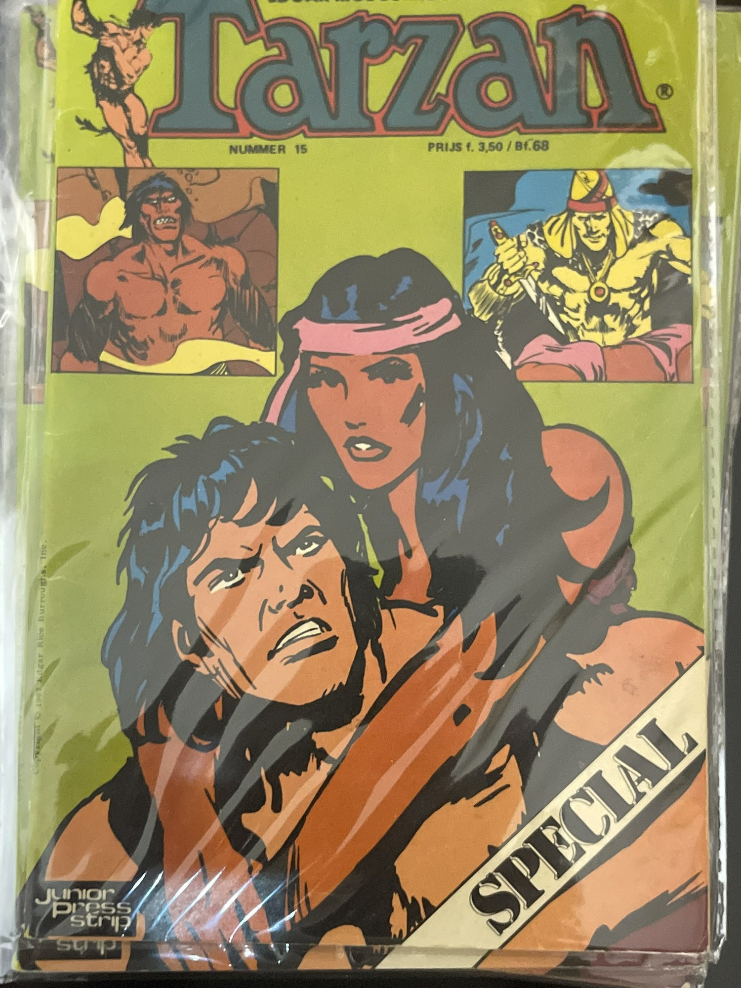 Cover van De vallei van het heilige graf