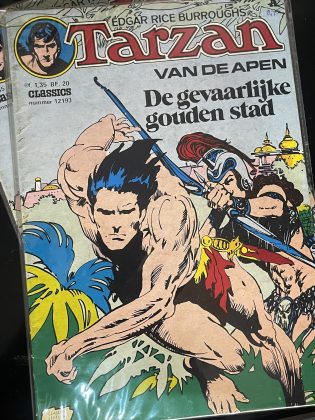 Cover van De gevaarlijke gouden stad