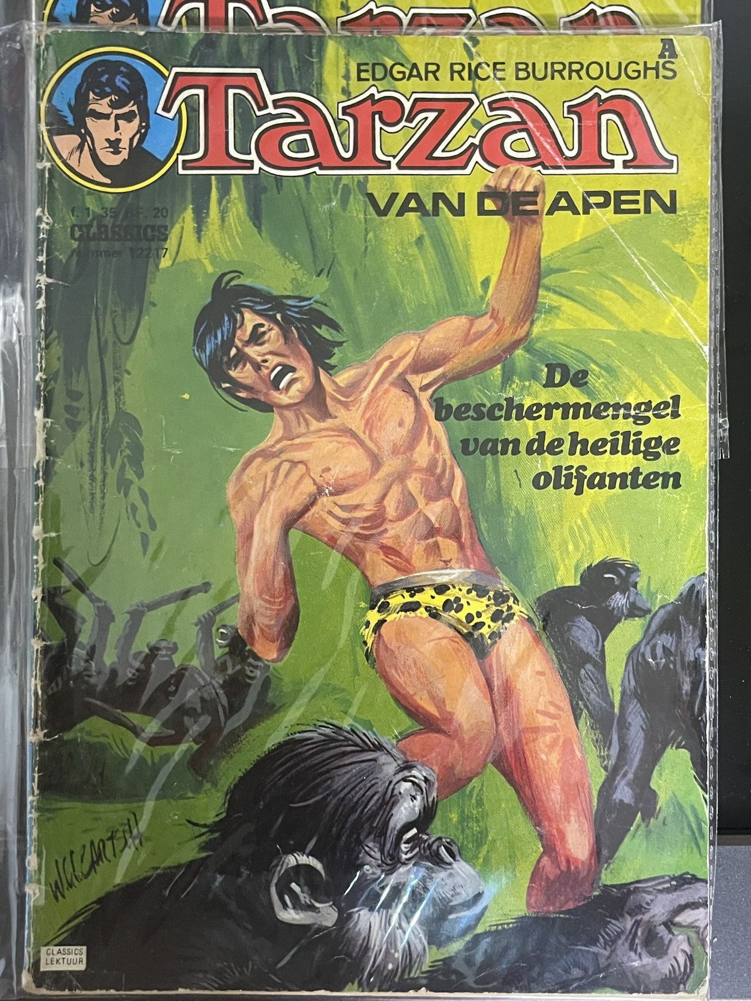 Cover van De beschermengel van de heilige olifanten