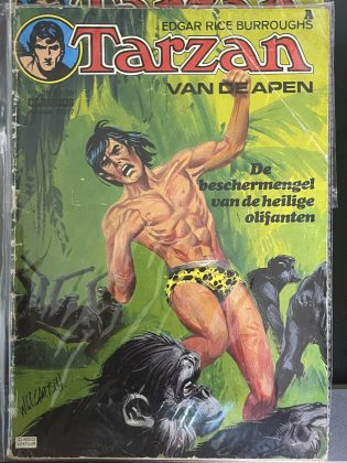 Cover van De beschermengel van de heilige olifanten