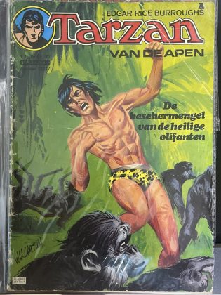 Cover van De beschermengel van de heilige olifanten