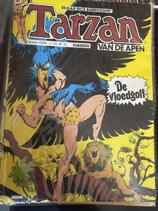 Cover van De vloedgolf