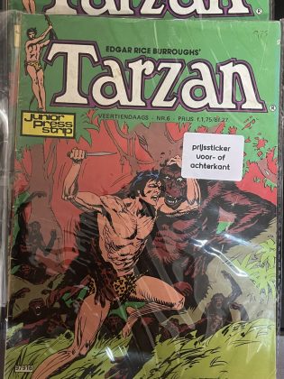 Cover van Turchuk de machtige