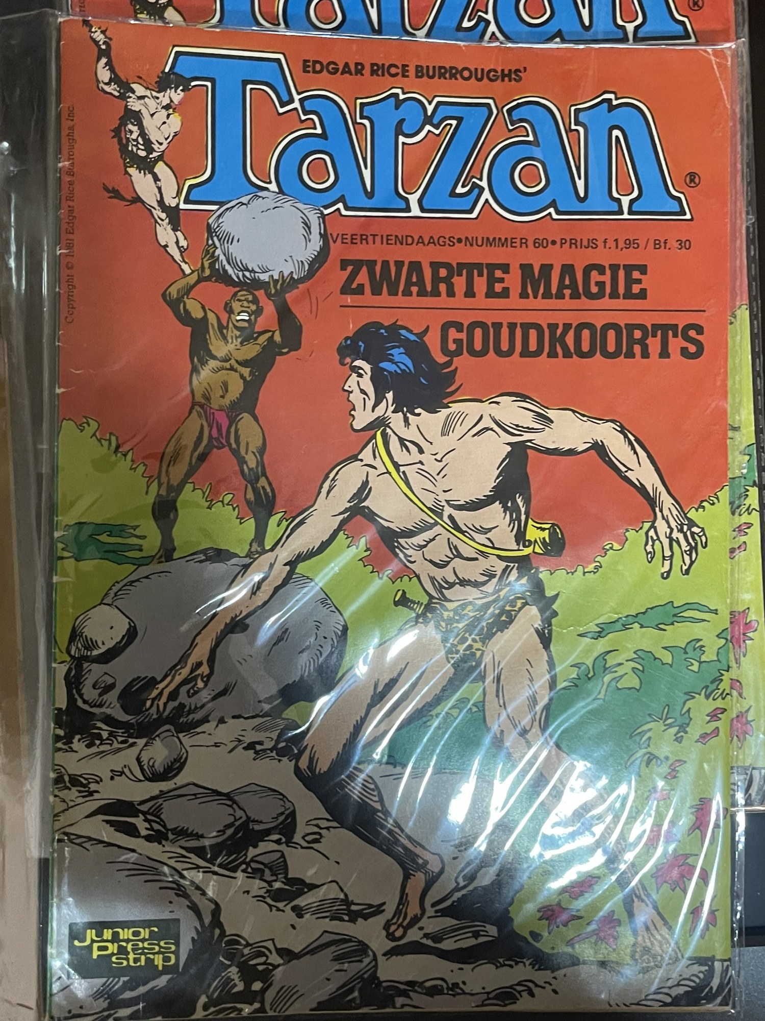 Cover van De duivelse jacht