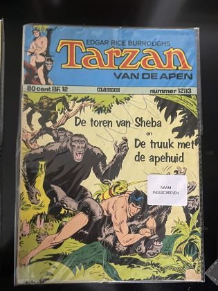 Cover van De toren van Sheba + De truuk met de apehuid