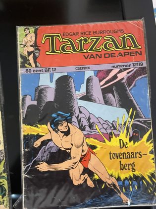 Cover van De tovenaarsberg