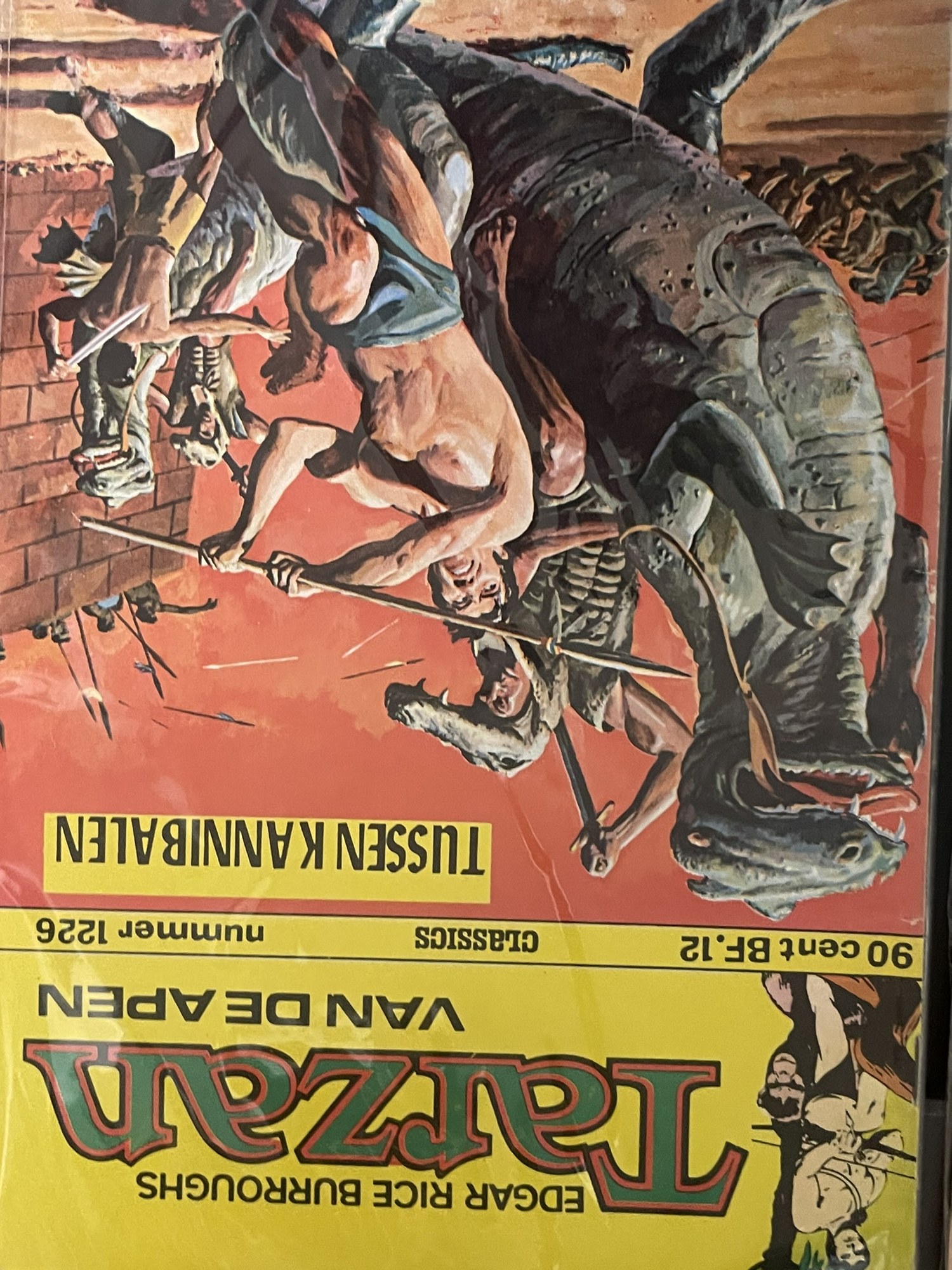 Cover van De dubbelganger