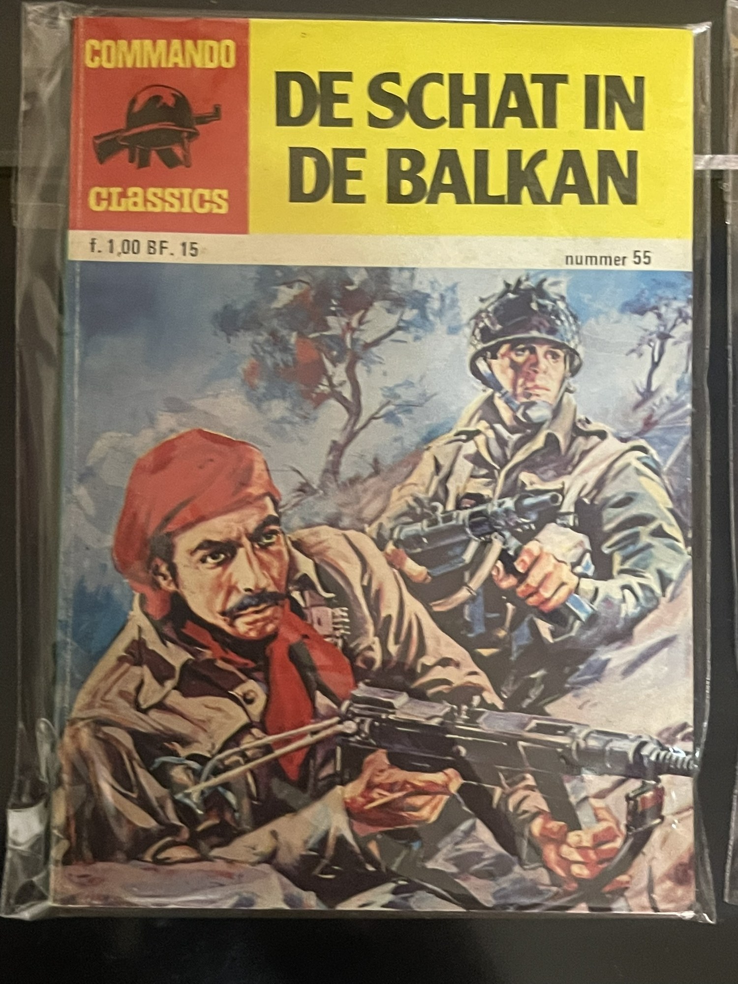 Cover van De schat in de Balkan