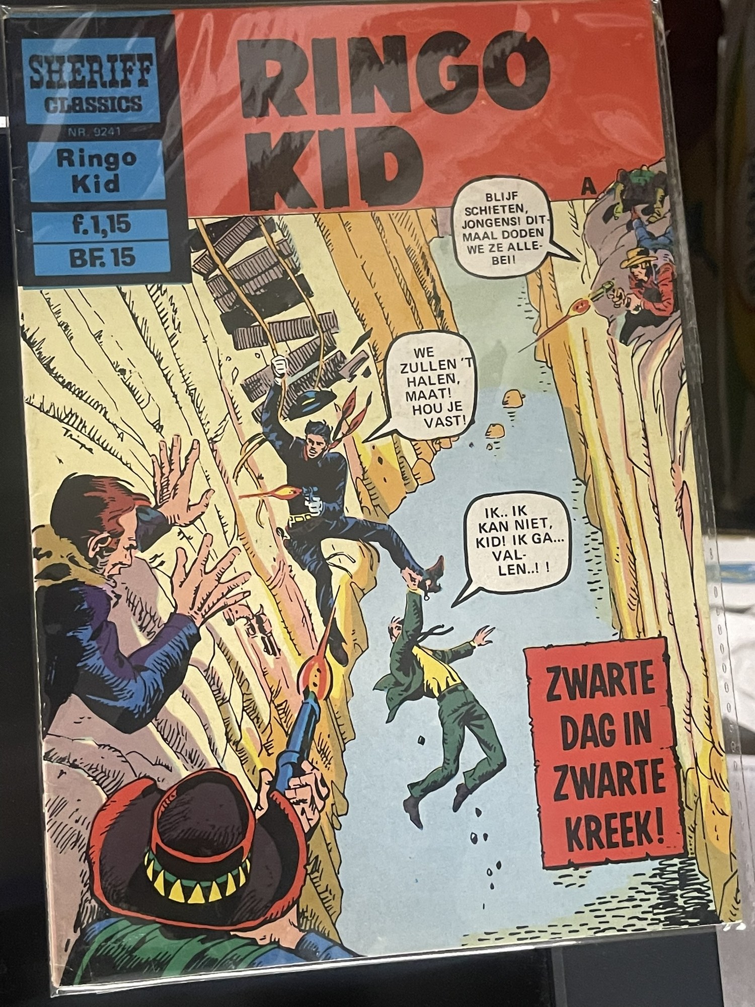 Cover van Het onbevreesde 47ste