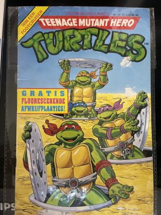 Turtles 13