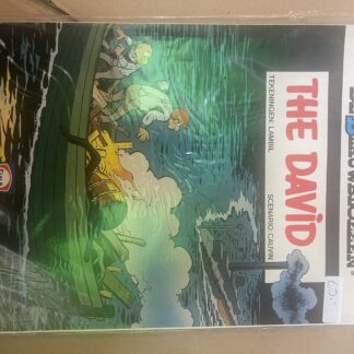 Cover van The David