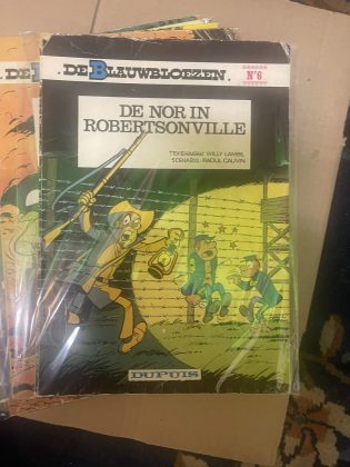 Cover van De nor in Robertsonville