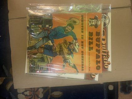 Cover van Schoten in het Zonnedal