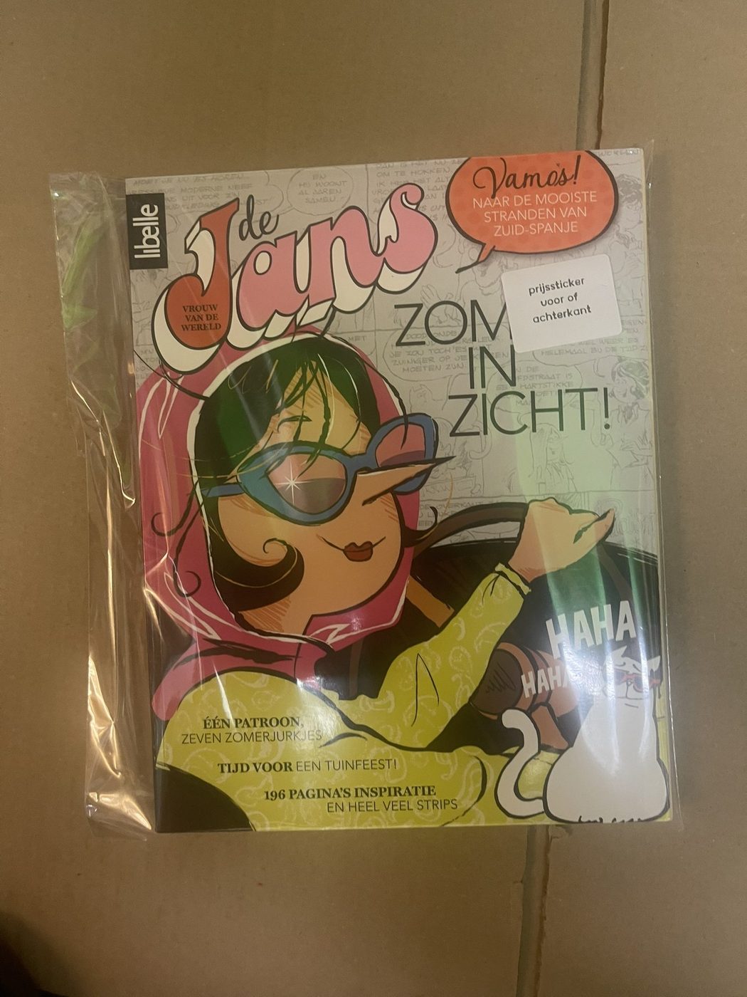 Cover van Zomer in zicht