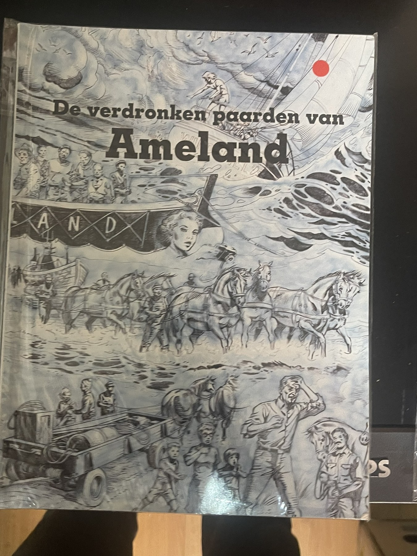 Cover van De verdronken paarden van Ameland