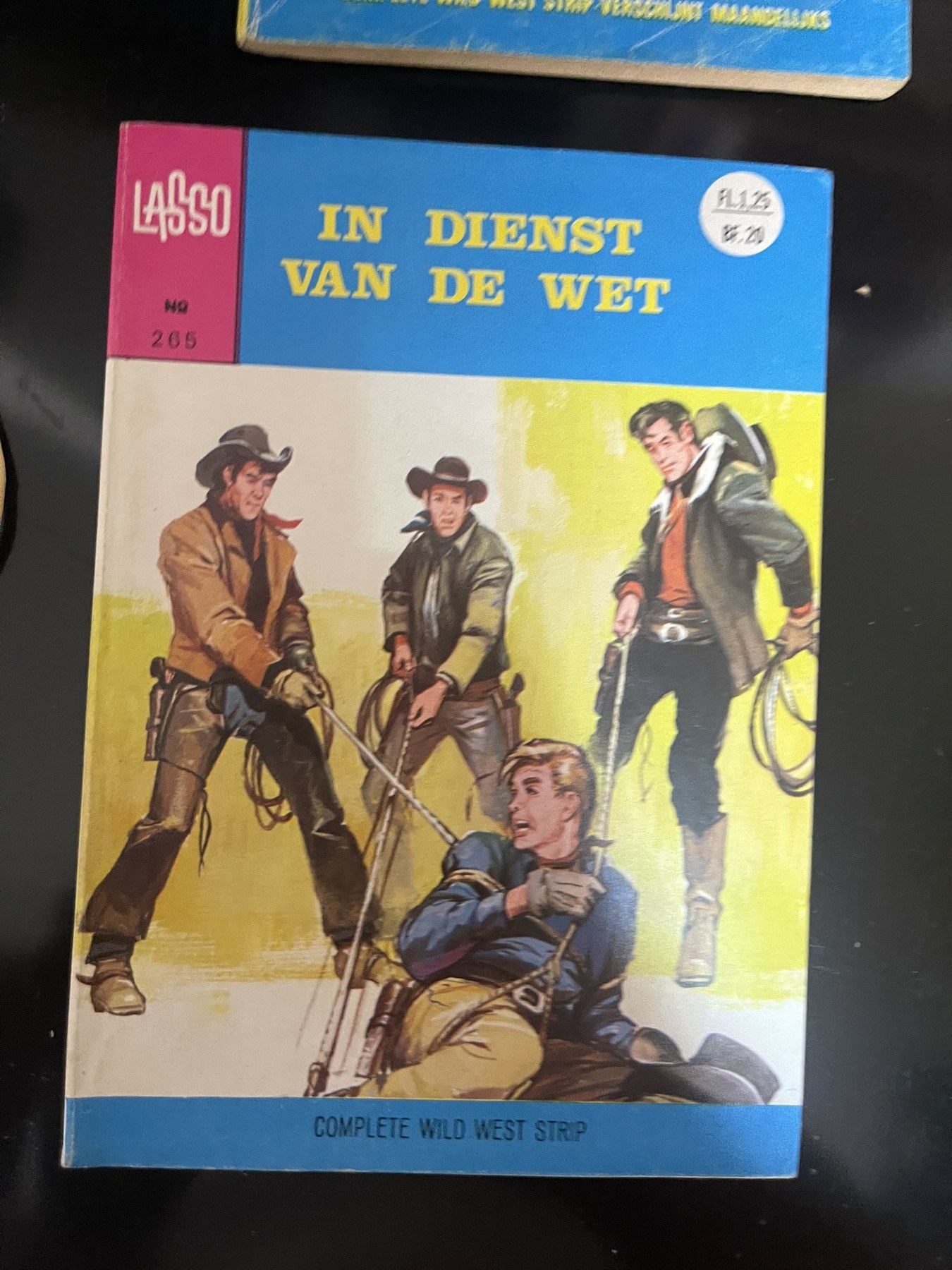 Cover van In dienst van de wet