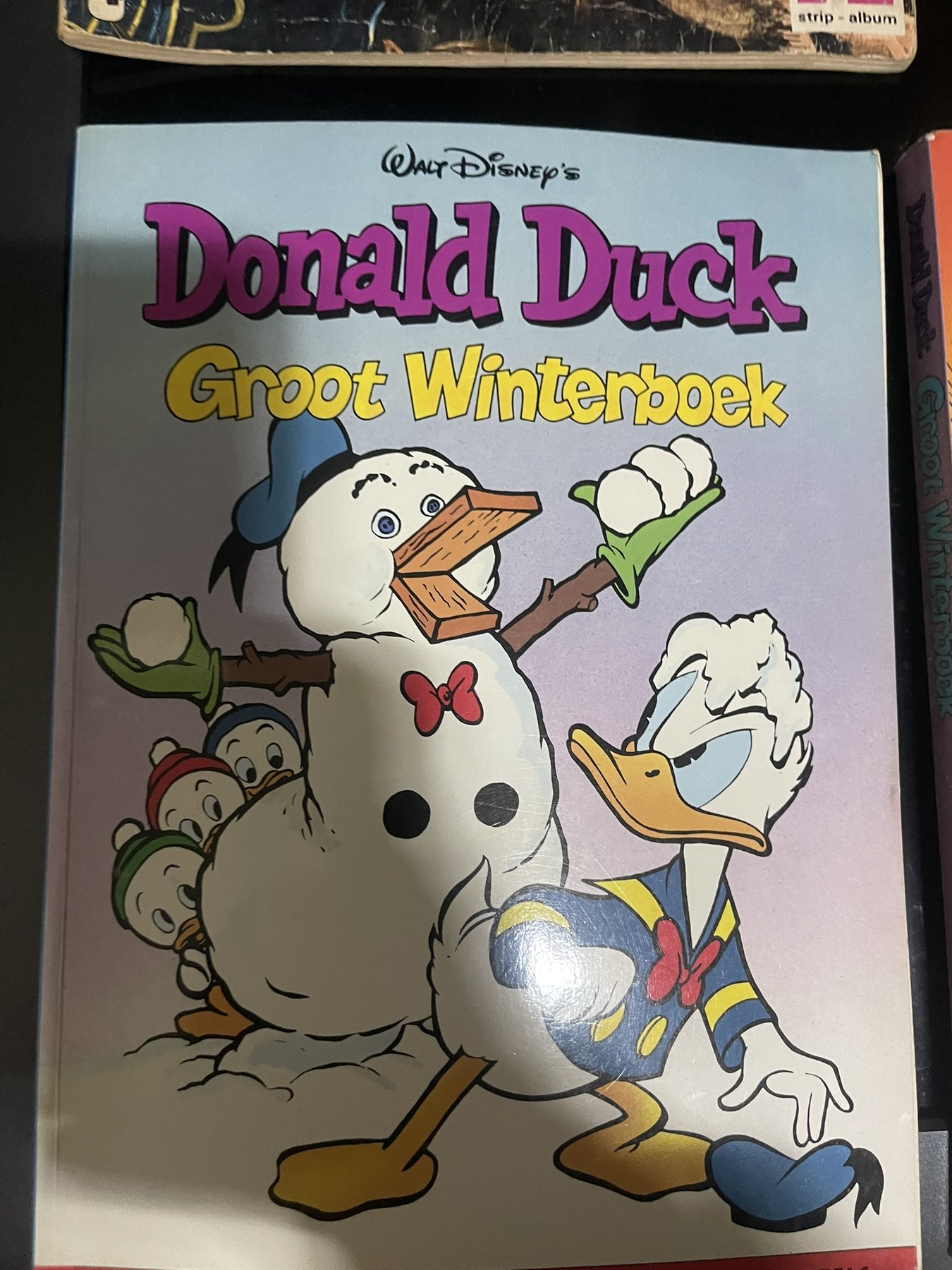 Cover van Groot winterboek