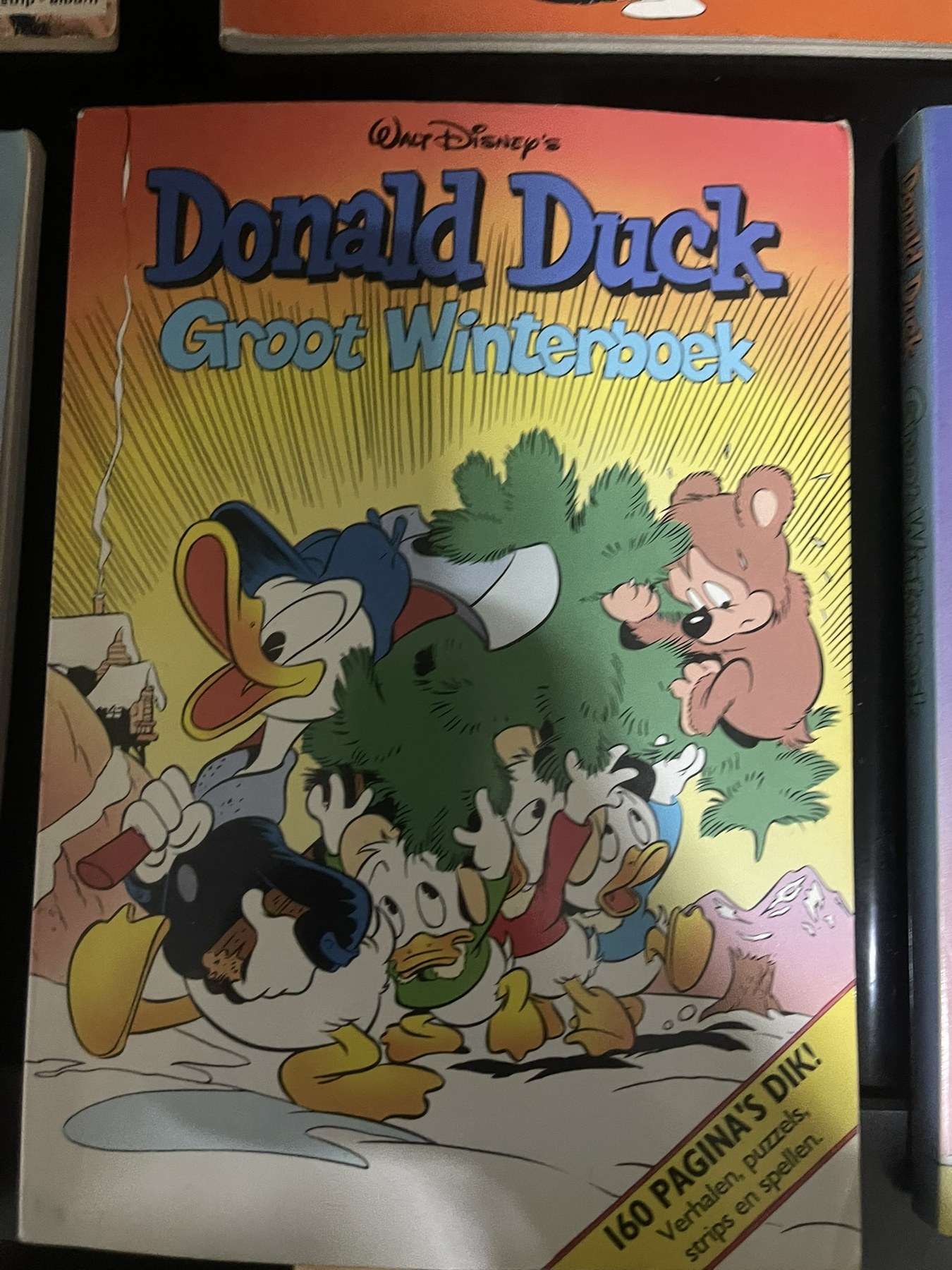 Cover van Groot winterboek