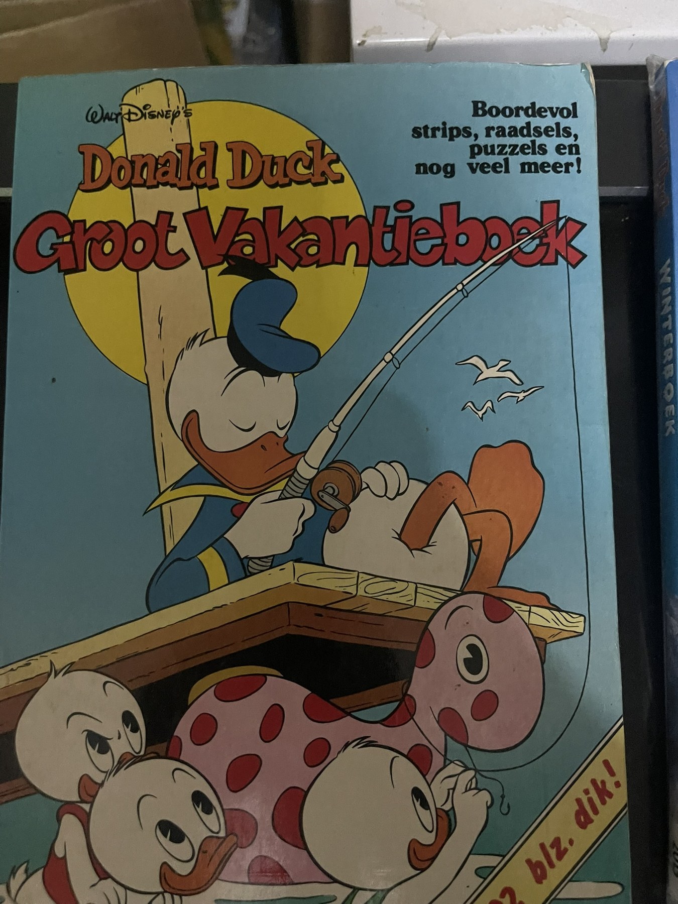 Cover van Groot vakantieboek