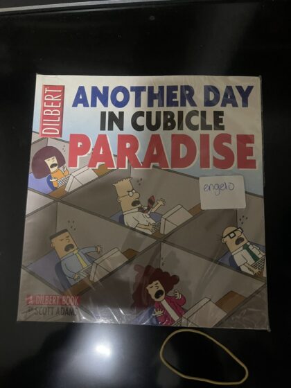 Cover van Another day in cubicle paradise