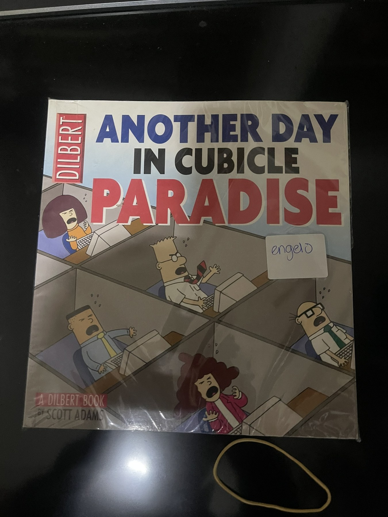 Cover van Another day in cubicle paradise