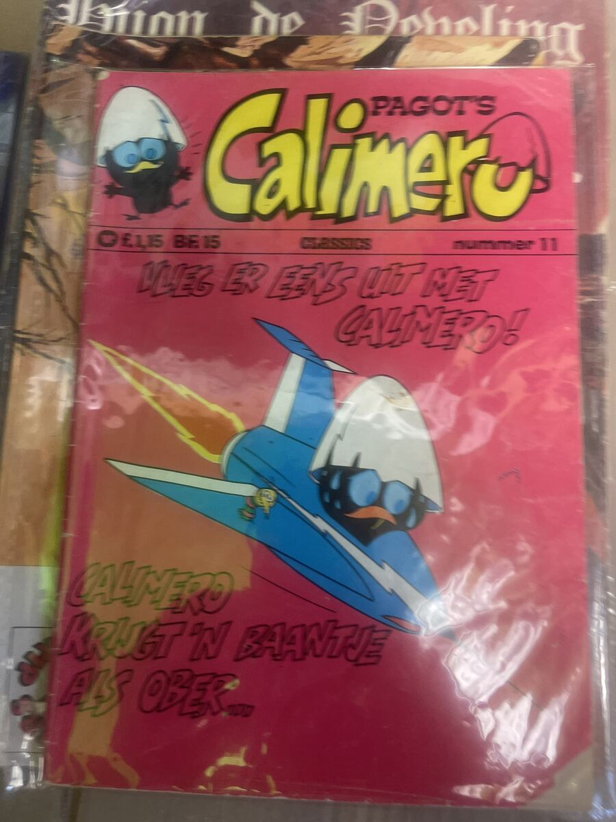 Calimero 11