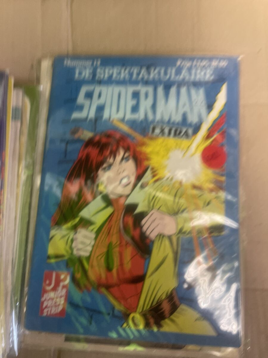 De spektakulaire Spiderman Extra 13