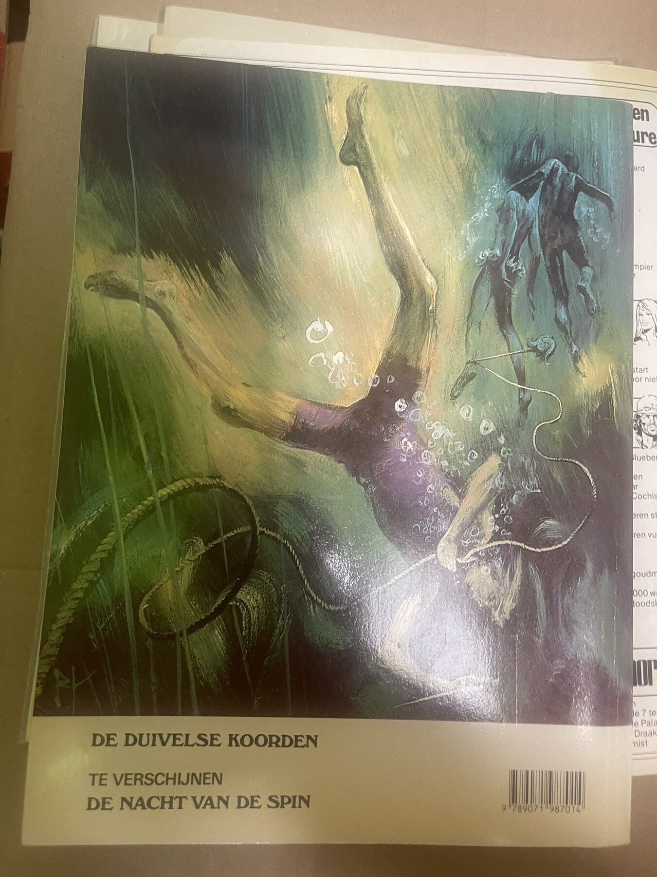De duivelse koorden - afbeelding 2
